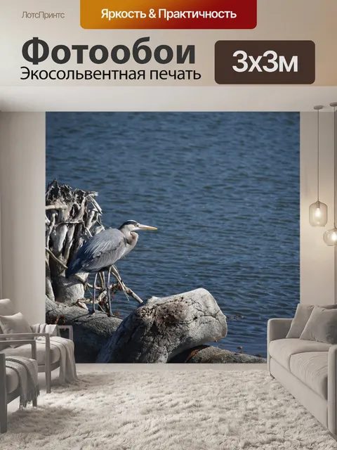 Фотообои Синяя цапля