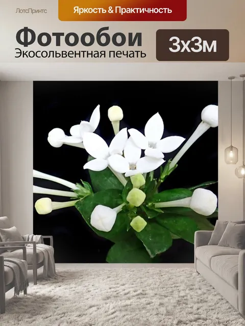 Фотообои Цветы