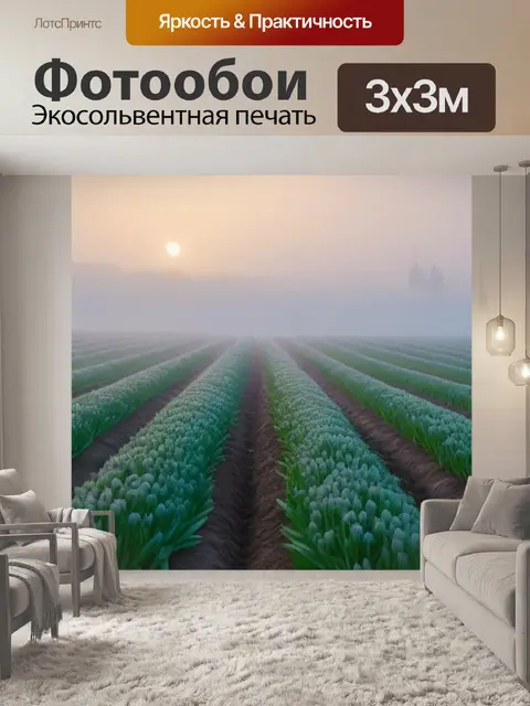 Фотообои поле тюльпанов, залитое туманом