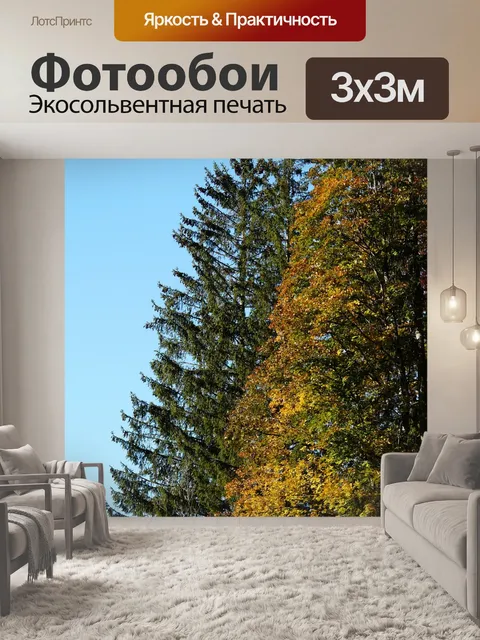 Фотообои Лес