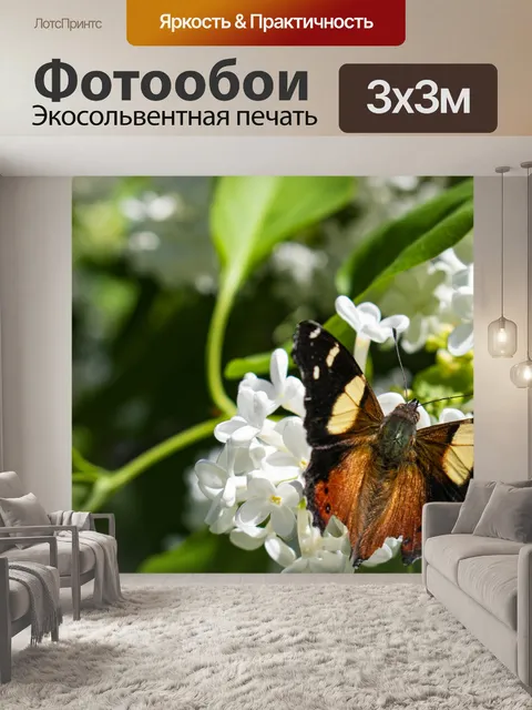 Фотообои Цветы