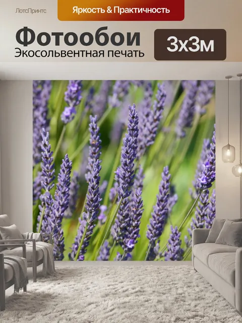 Фотообои Лаванда