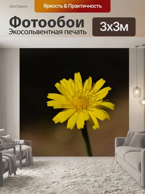 Фотообои Цветок