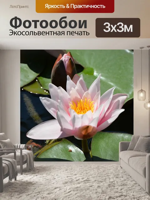 Фотообои Воды