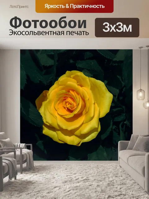 Фотообои Золотая роза