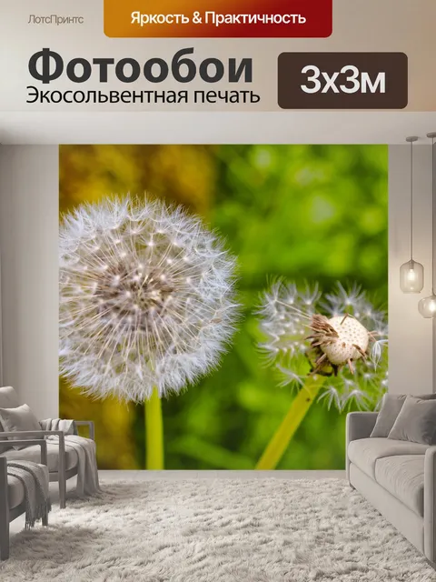 Фотообои Цветок