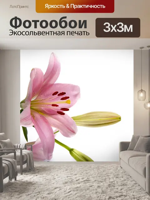 Фотообои Лилии Цветы
