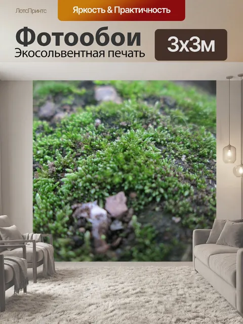 Фотообои Мох