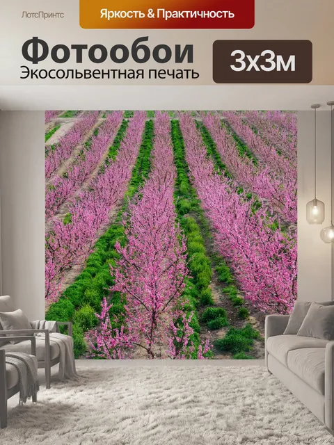 Фотообои Поля