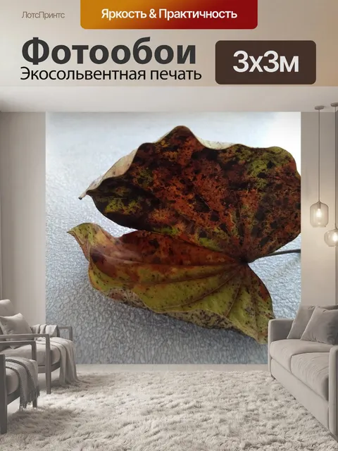 Фотообои Осенний лист в форме бабочки