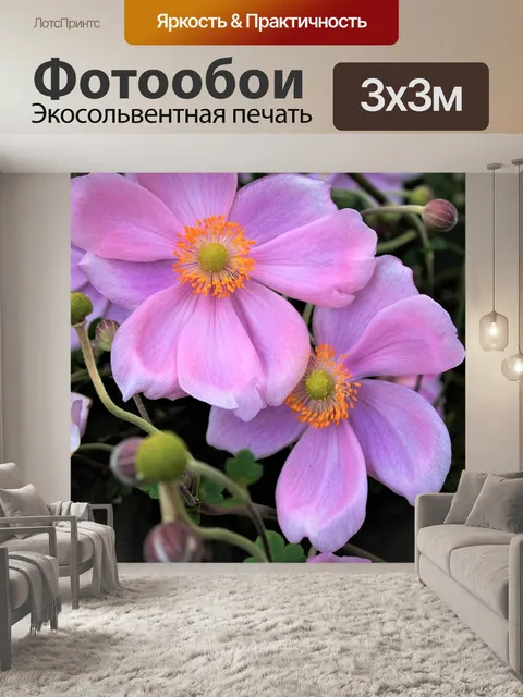 Фотообои Цветы