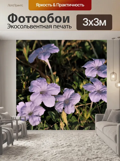 Фотообои Дикая лаванда Петунии