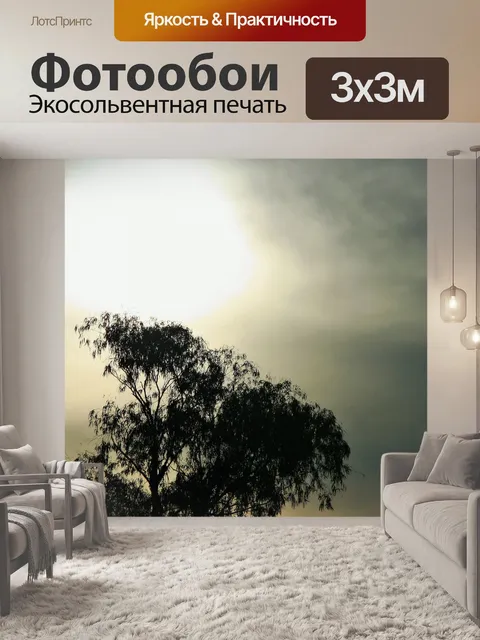 Фотообои рассеянное солнце и дерево