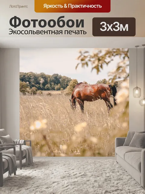 Фотообои Лошадь