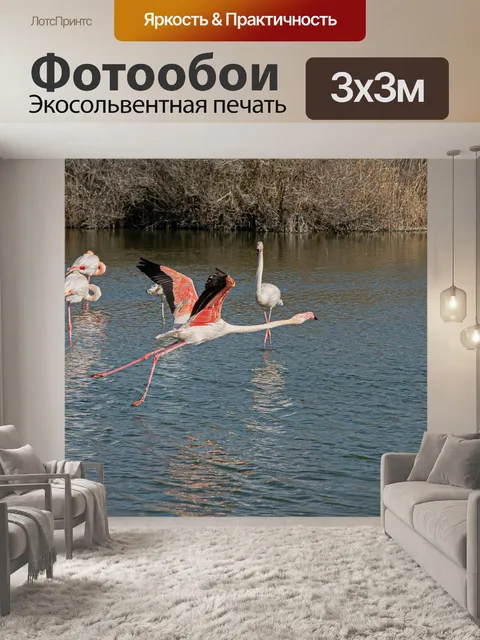 Фотообои Фламинго