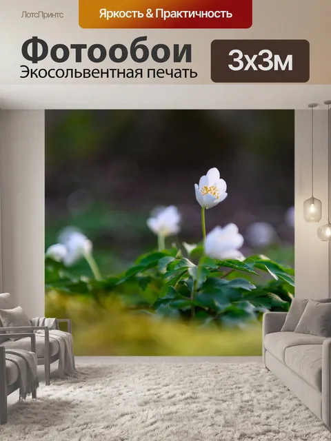 Фотообои Древесные анемоны
