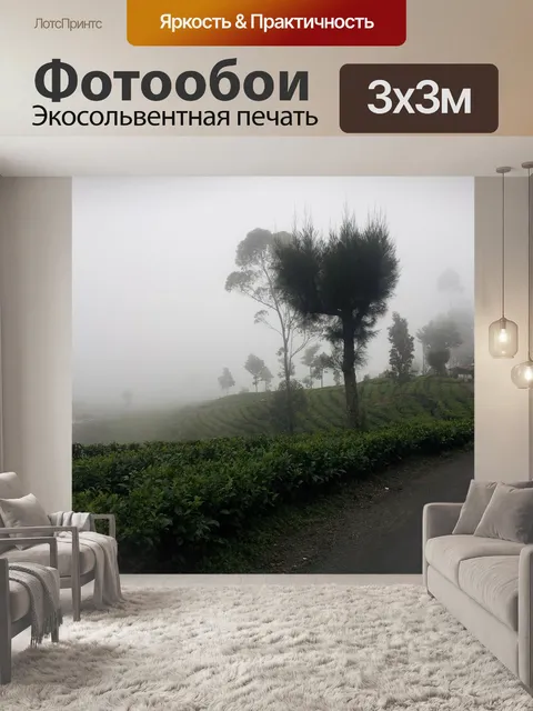 Фотообои Туман