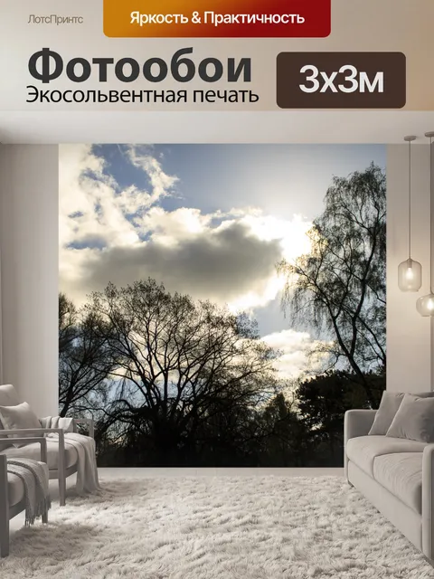 Фотообои Фон