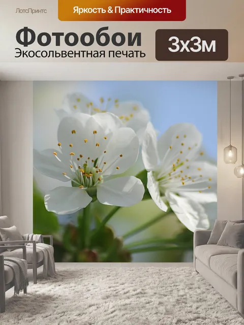 Фотообои Цветы