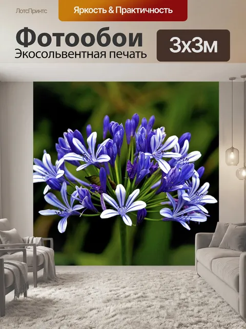 Фотообои Джунгли