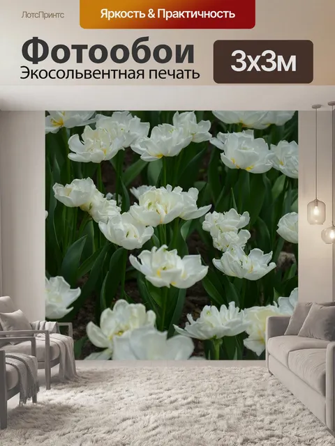 Фотообои Лист