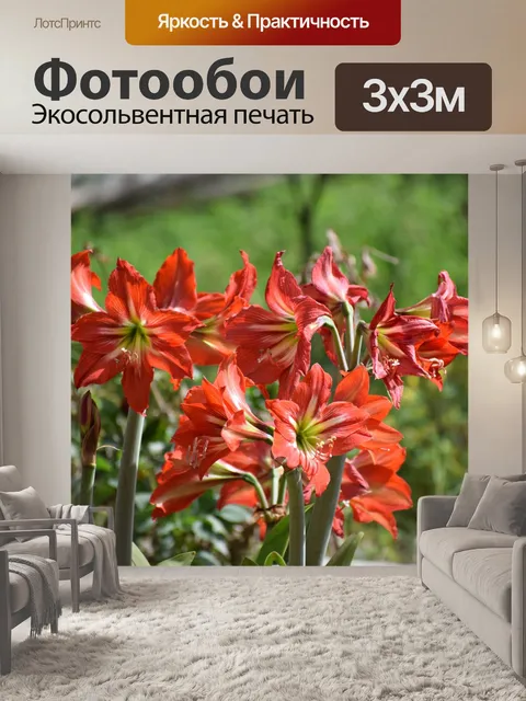 Фотообои Цветы