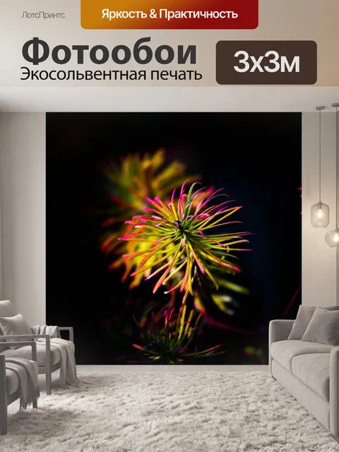 Фотообои Цветок