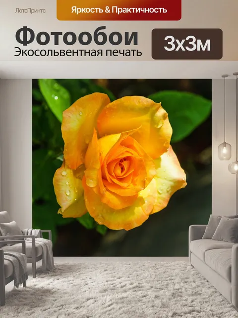 Фотообои Роза в саду