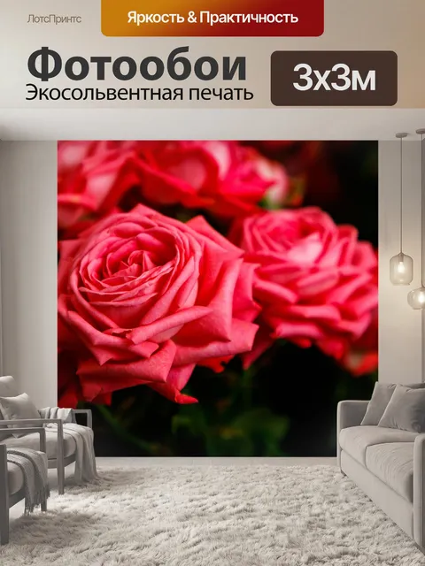Фотообои Розы