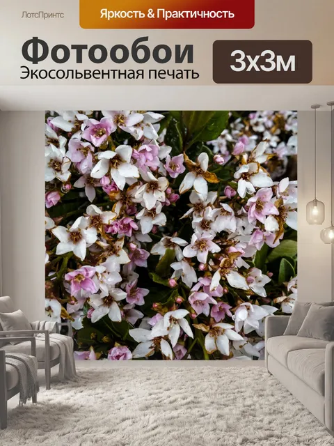 Фотообои Распыление цветов