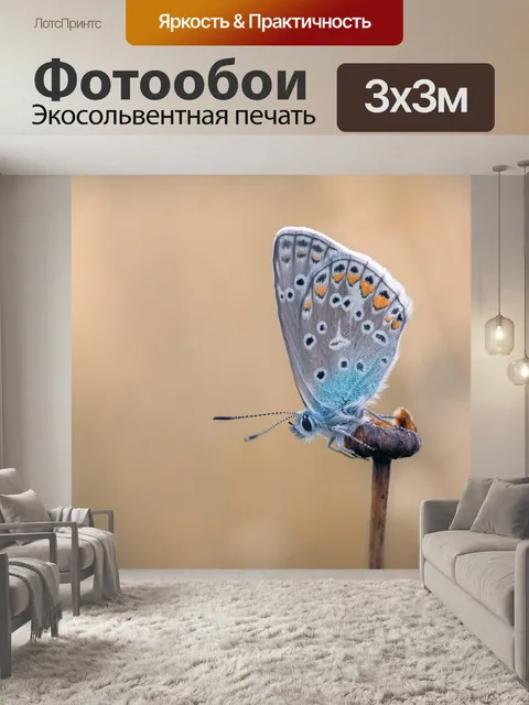Фотообои Бабочка