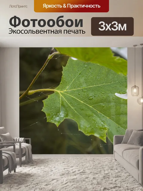 Фотообои Природа