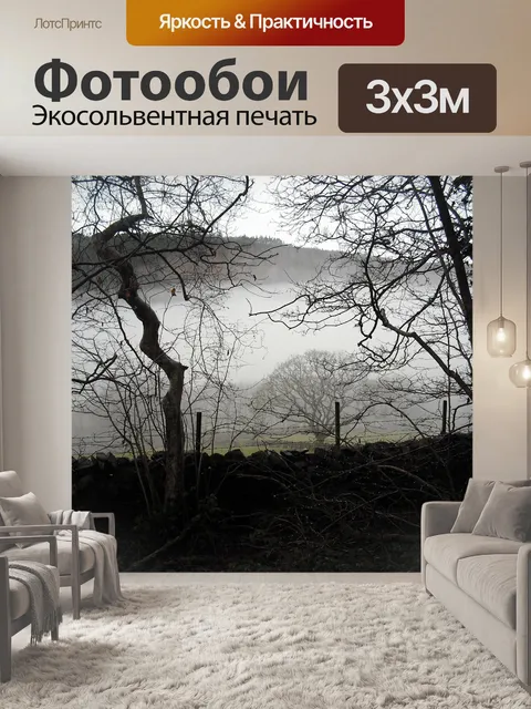 Фотообои Туман