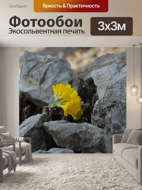 Фотообои Камень