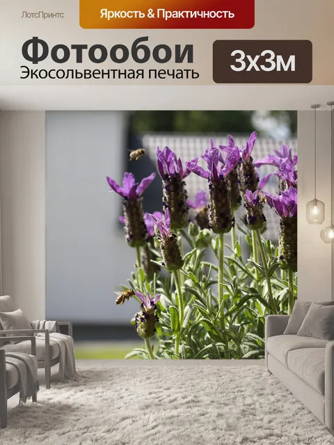 Фотообои Пчела