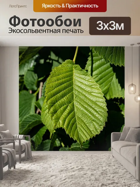 Фотообои Листья