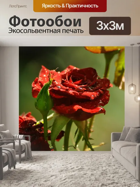 Фотообои Цветы