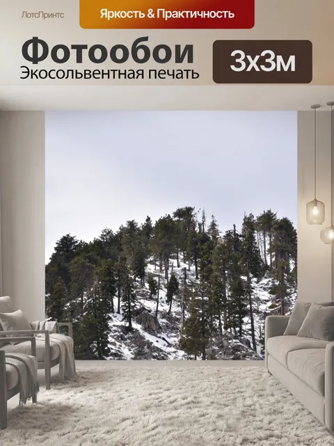 Фотообои Горы, деревья и снег