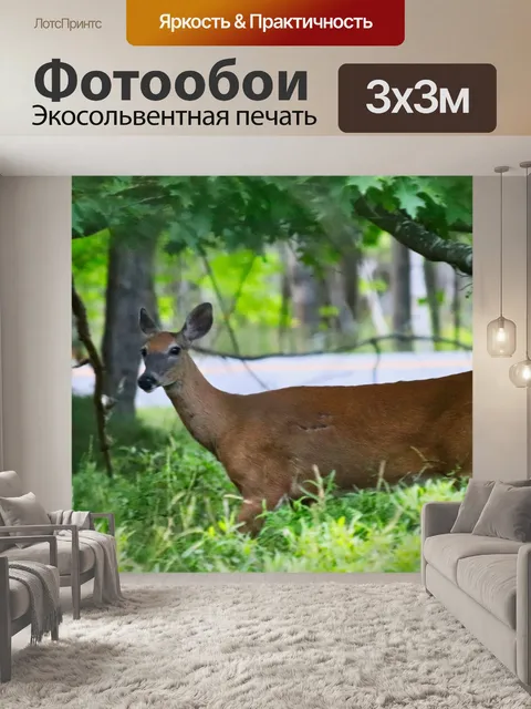 Фотообои олень