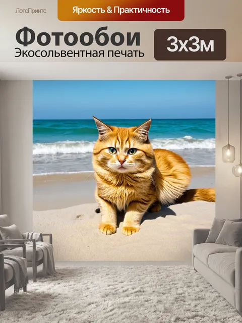 Фотообои кот, наслаждающийся солнечными днями на пляже