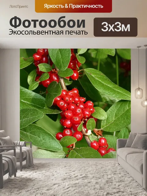 Фотообои Ягоды