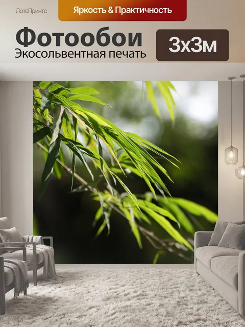 Фотообои Бамбук