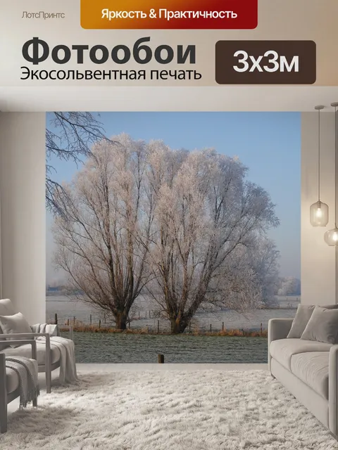 Фотообои Зима