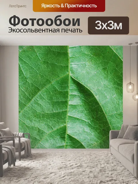 Фотообои Листья фон