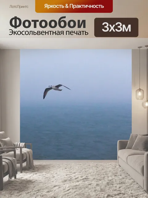 Фотообои Чайка