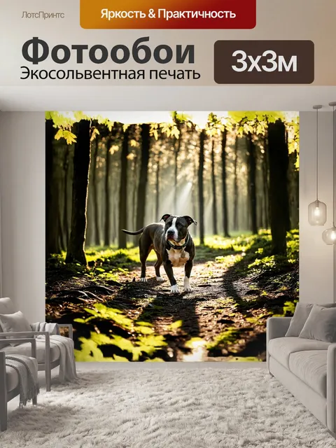 Фотообои собака, американский стаффордширский терьер, исследует лесной пейзаж, где лучи солнечного света проникают…