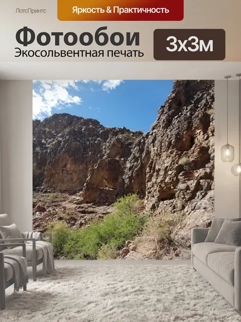 Фотообои Аризонский пустынный пейзаж
