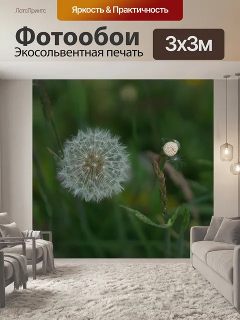 Фотообои Цветы