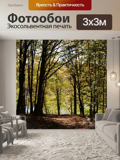 Фотообои Дорожка