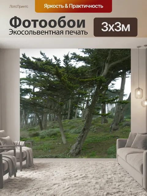 Фотообои Деревья с ветром
